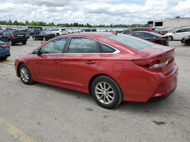 5NPE24AF2KH816207 - 2019 HYUNDAI SONATA SE 红色 照片 2