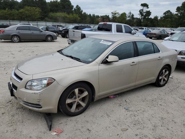 1G1ZC5EU6BF101690 - 2011 CHEVROLET MALIBU 1LT 米色 照片 1