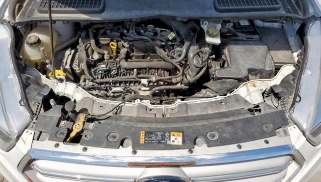 1FMCU9GD6KUB11867 - 2019 FORD ESCAPE SE Սպիտակ լուսանկար 12