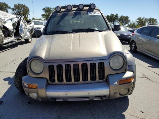 1J4GL38K73W645477 - 2003 JEEP LIBERTY RENEGADE TAN photo 5