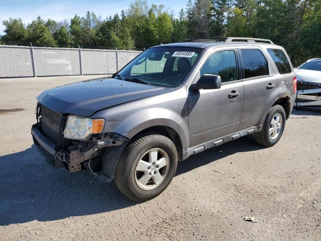 2009 FORD ESCAPE XLT, 