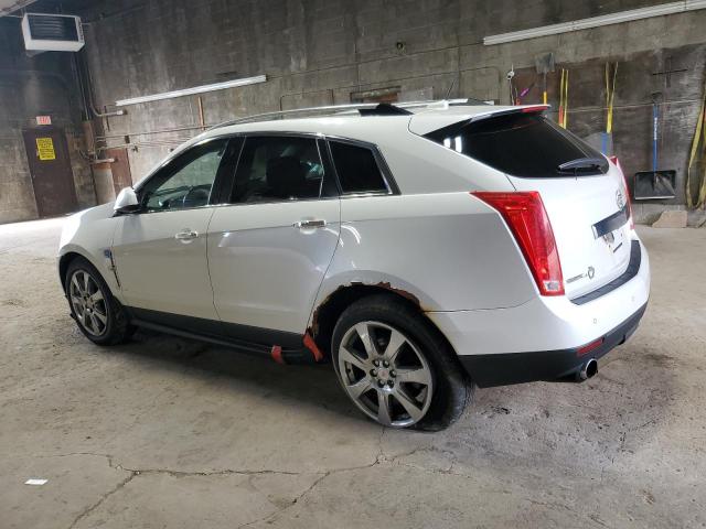 3GYFNFEY2AS561169 - 2010 CADILLAC SRX PREMIUM COLLECTION Biały zdjęcie 2
