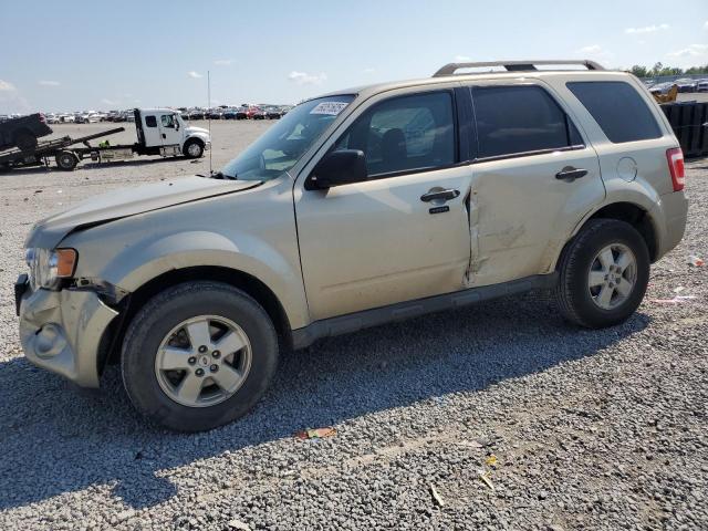 2010 FORD ESCAPE XLT, 