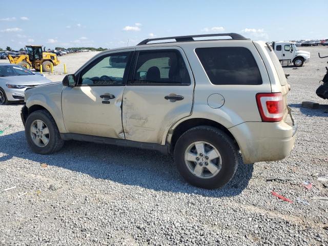 1FMCU0D75AKA30038 - 2010 FORD ESCAPE XLT ოქროსფერი ფოტო 2