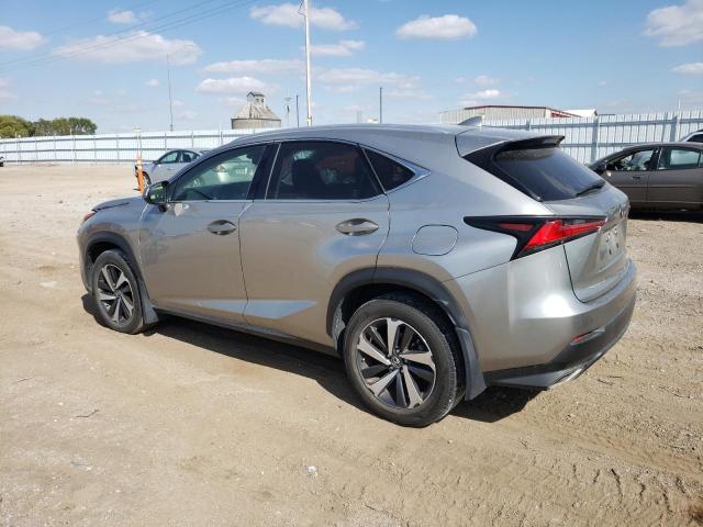 JTJBARBZ0K2185919 - 2019 LEXUS NX 300 BASE 灰色 照片 2