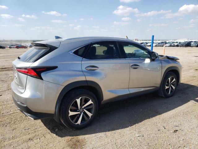 JTJBARBZ0K2185919 - 2019 LEXUS NX 300 BASE 灰色 照片 3