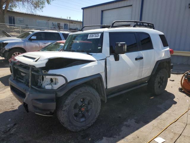 JTEBU11F98K026369 - 2008 TOYOTA FJ CRUISER WHITE photo 1