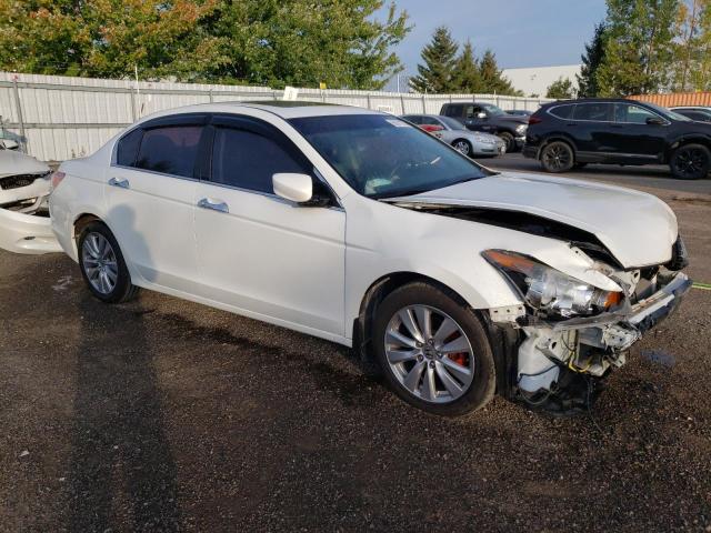 1HGCP3F83CA800556 - 2012 HONDA ACCORD EXL WHITE photo 4