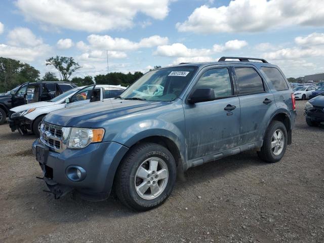 2010 FORD ESCAPE XLT, 