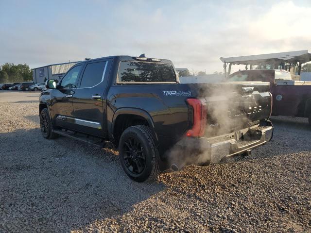 5TFMA5DB6PX069316 - 2023 TOYOTA TUNDRA CREWMAX PLATINUM Schwarz Foto 2