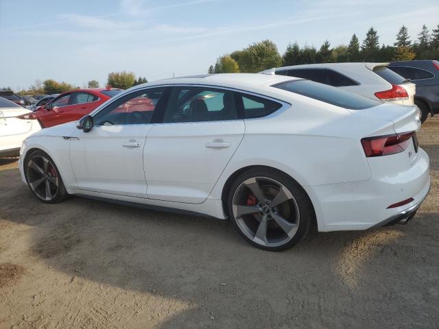 WAUC4CF55KA071856 - 2019 AUDI S5 PRESTIGE WHITE photo 2