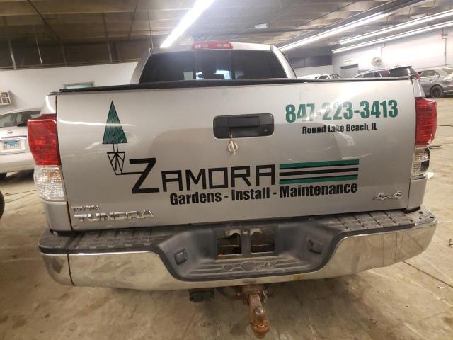 5TFUM5F13AX012509 - 2010 TOYOTA TUNDRA DOUBLE CAB SR5 SILVER photo 6