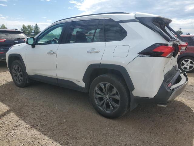 2T3DWRFV0PW159985 - 2023 TOYOTA RAV4 LIMITED WHITE photo 2