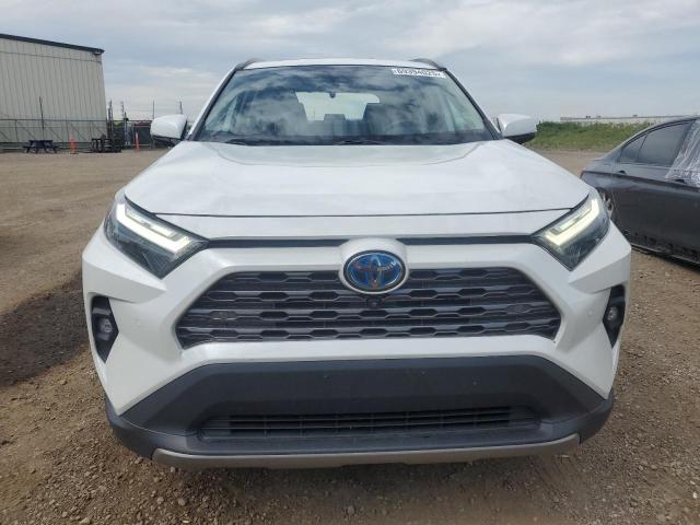 2T3DWRFV0PW159985 - 2023 TOYOTA RAV4 LIMITED WHITE photo 5