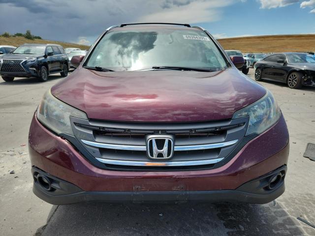 5J6RM4H76EL021343 - 2014 HONDA CR-V EXL 栗色 照片 5