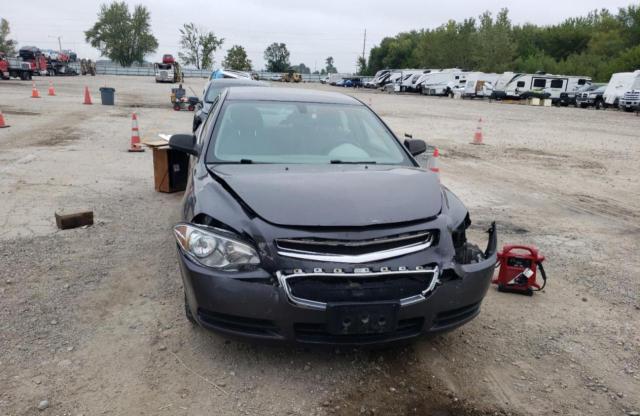 1G1ZB5E04CF368828 - 2012 CHEVROLET MALIBU LS GRAY photo 5