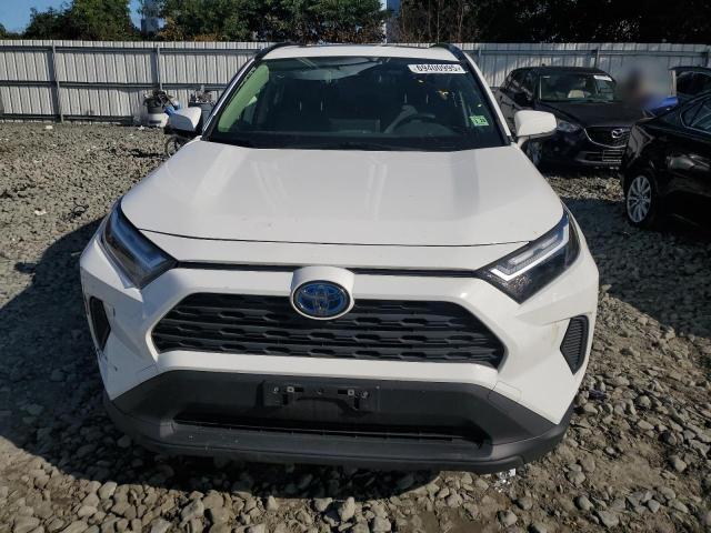 JTMRWRFV5PD172671 - 2023 TOYOTA RAV4 XLE თეთრი ფოტო 5