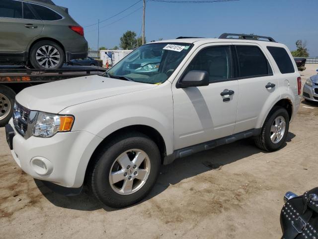 2012 FORD ESCAPE XLT, 