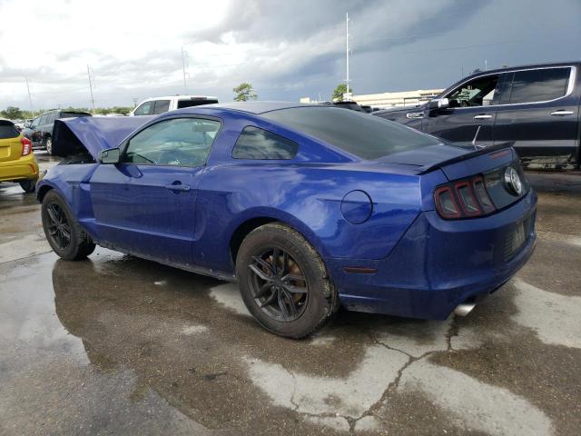 1ZVBP8AM1D5235372 - 2013 FORD MUSTANG BLUE photo 2