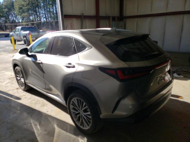 2T2GGCEZ5NC007666 - 2022 LEXUS NX 350 GRAY photo 2