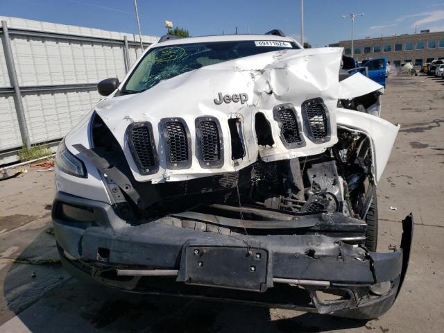1C4PJMBS8FW685646 - 2015 JEEP CHEROKEE TRAILHAWK Ağ foto 5