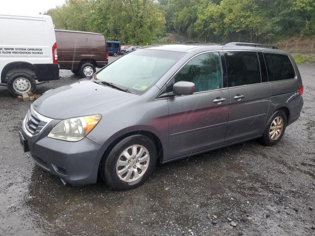 2010 HONDA ODYSSEY EX, 