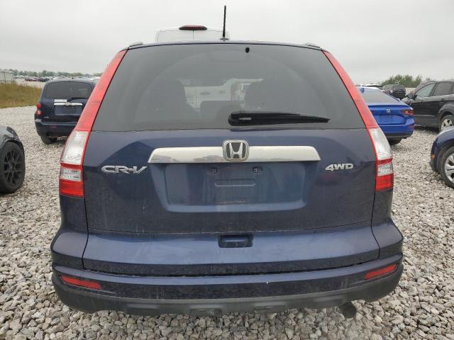 JHLRE4H73AC001499 - 2010 HONDA CR-V EXL BLUE photo 6