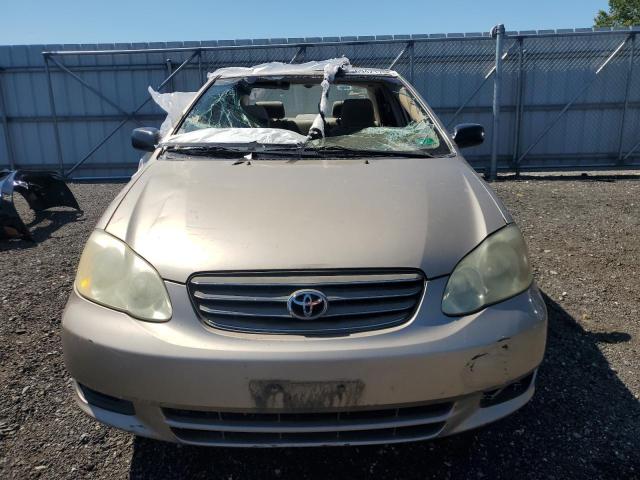 2T1BR32E24C311336 - 2004 TOYOTA COROLLA CE 米色 照片 5