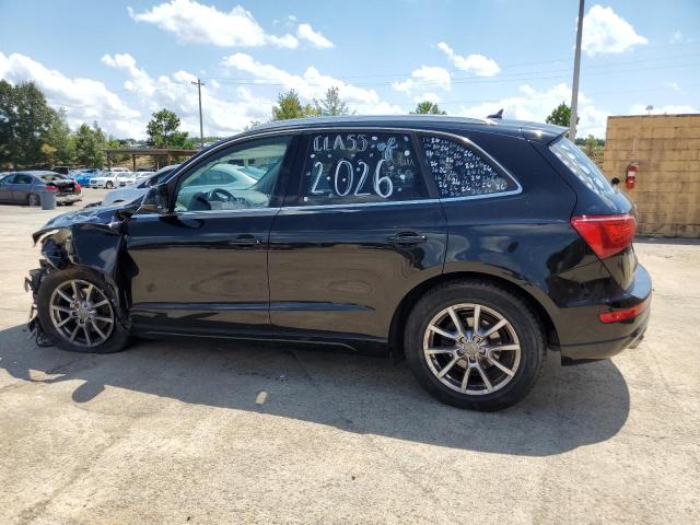 WA1LKAFP4AA076425 - 2010 AUDI Q5 PREMIUM PLUS 黑色 照片 2