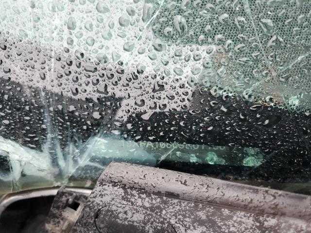 19XFA16809E011661 - 2009 HONDA CIVIC EX GRAY photo 12