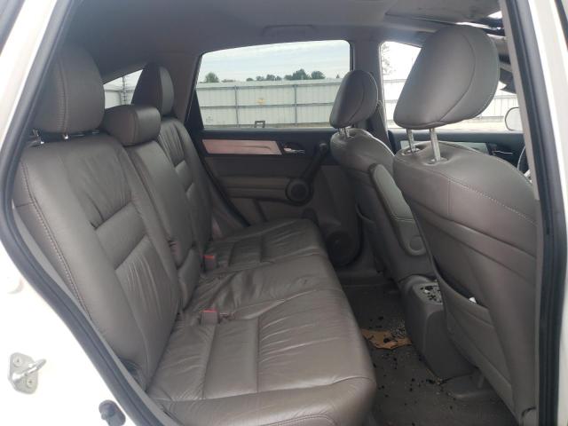 5J6RE3H77AL022390 - 2010 HONDA CR-V EXL თეთრი ფოტო 11