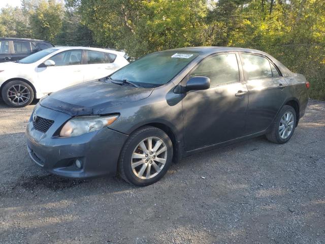 2010 TOYOTA COROLLA BASE, 