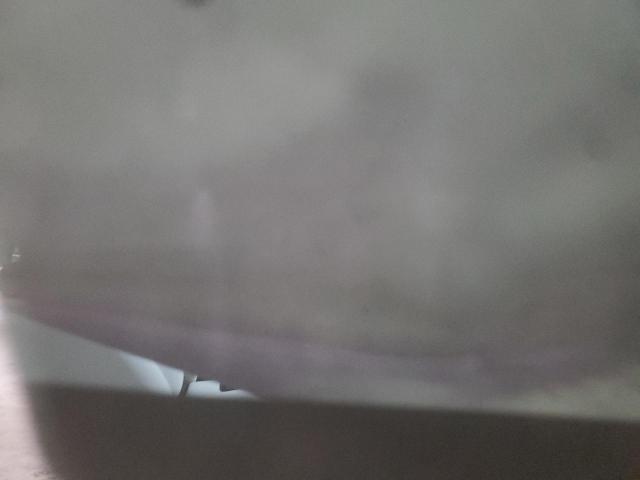 7SAYGAEE6PF640981 - 2023 TESLA MODEL Y 黑色 照片 11