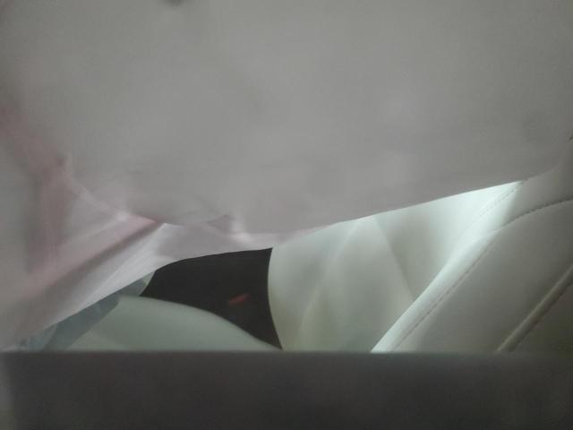 7SAYGAEE6PF640981 - 2023 TESLA MODEL Y 黑色 照片 7