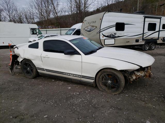 1ZVBP8ANXA5131080 - 2010 FORD MUSTANG WHITE photo 4