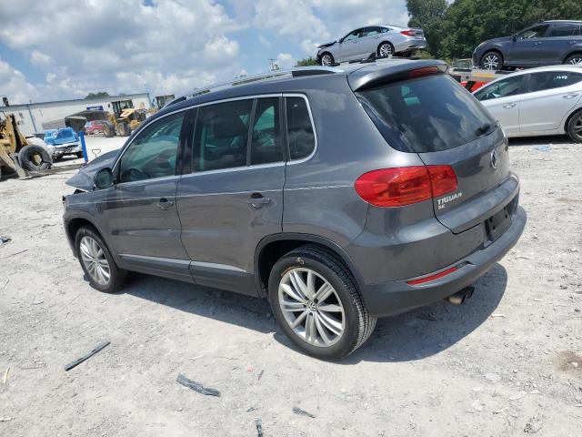 WVGAV7AX9GW580877 - 2016 VOLKSWAGEN TIGUAN S 灰色 照片 2