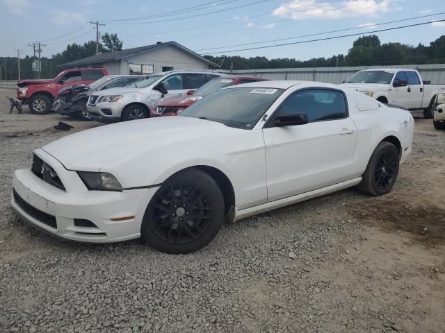 2014 FORD MUSTANG, 