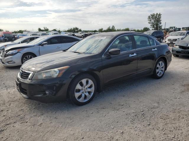 2010 HONDA ACCORD EXL, 