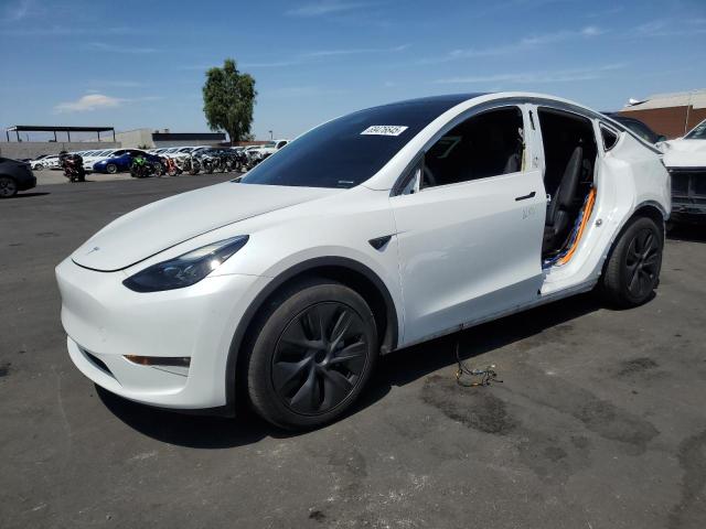 2024 TESLA MODEL Y, 