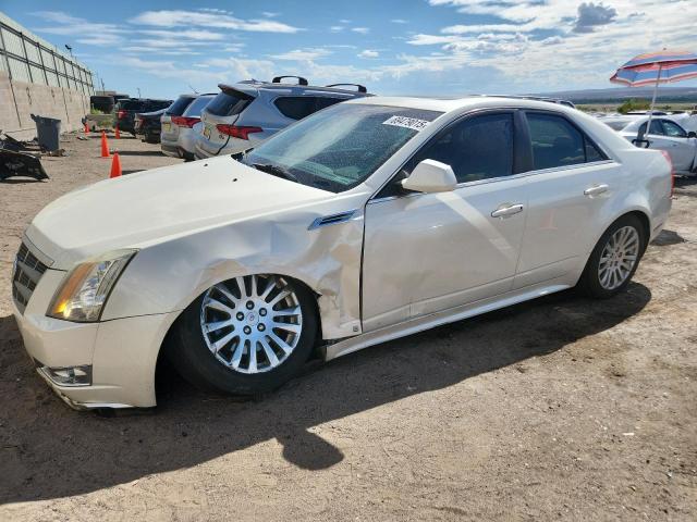 2010 CADILLAC CTS PERFORMANCE COLLECTION, 