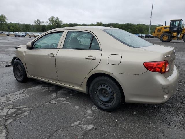2T1BU4EE3AC323359 - 2010 TOYOTA COROLLA BASE بيج صورة 2