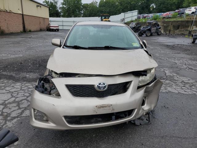 2T1BU4EE3AC323359 - 2010 TOYOTA COROLLA BASE بيج صورة 5
