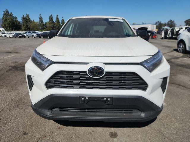 2T3H1RFV5PW246748 - 2023 TOYOTA RAV4 LE 白色 照片 5