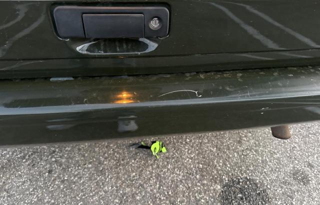 1J4FF48S01L625532 - 2001 JEEP CHEROKEE SPORT Жасыл фото 13