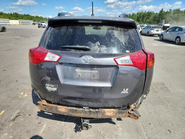 JTMBFREV1FJ050456 - 2015 TOYOTA RAV4 LE GRAY photo 6