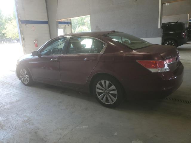 1HGCP2F87CA039265 - 2012 HONDA ACCORD EXL 勃艮第红 照片 2