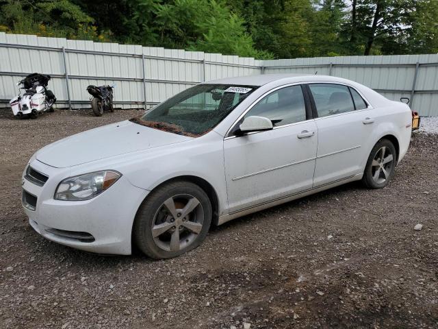 2011 CHEVROLET MALIBU 1LT, 