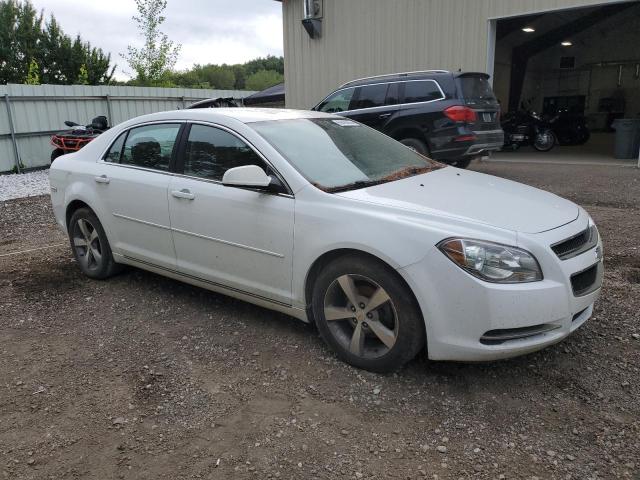 1G1ZC5EU1BF112970 - 2011 CHEVROLET MALIBU 1LT 白色 照片 4