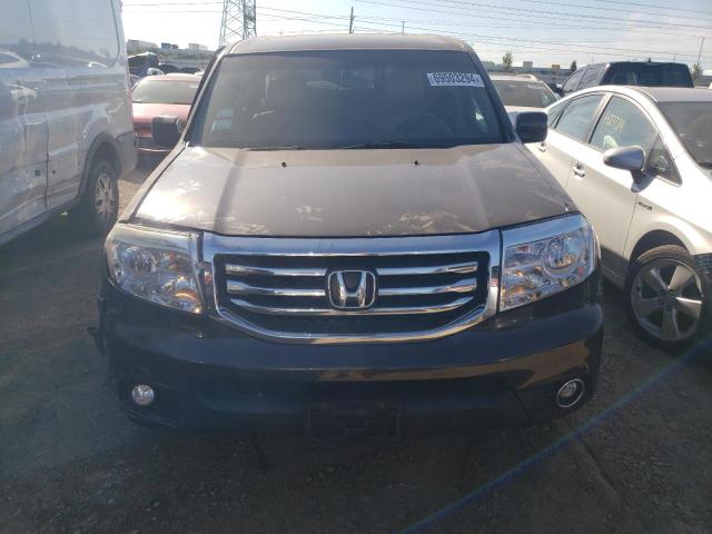 5FNYF4H69EB050633 - 2014 HONDA PILOT EXL BROWN photo 5