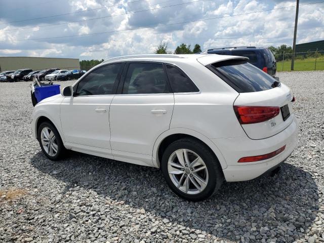 WA1BFCFSXGR017079 - 2016 AUDI Q3 PREMIUM PLUS أبيض صورة 2